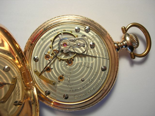 Movement view