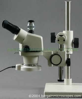MicroscopeL