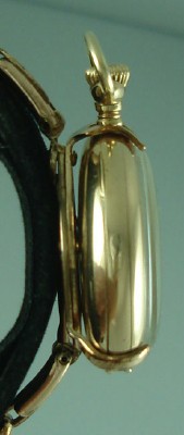 Elgin wwholder