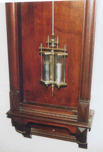 Ansonia3