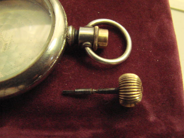 case and stem view