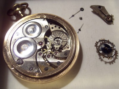 Longinesw