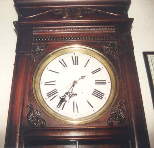 Ansonia5