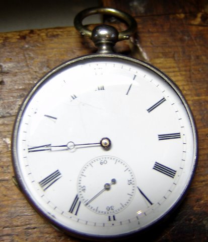 Case & Dial