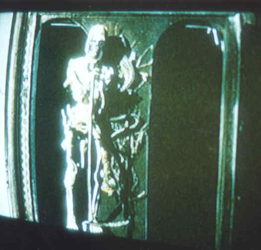1979 Nosferatu