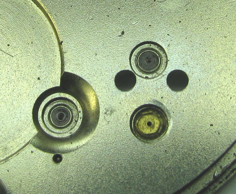 Brass Bush