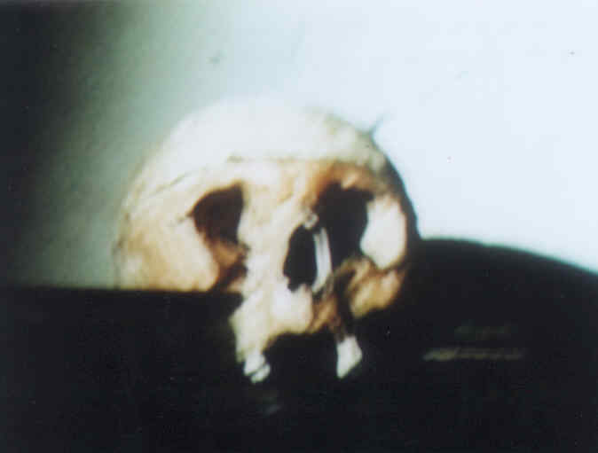 1979 Nosferatu